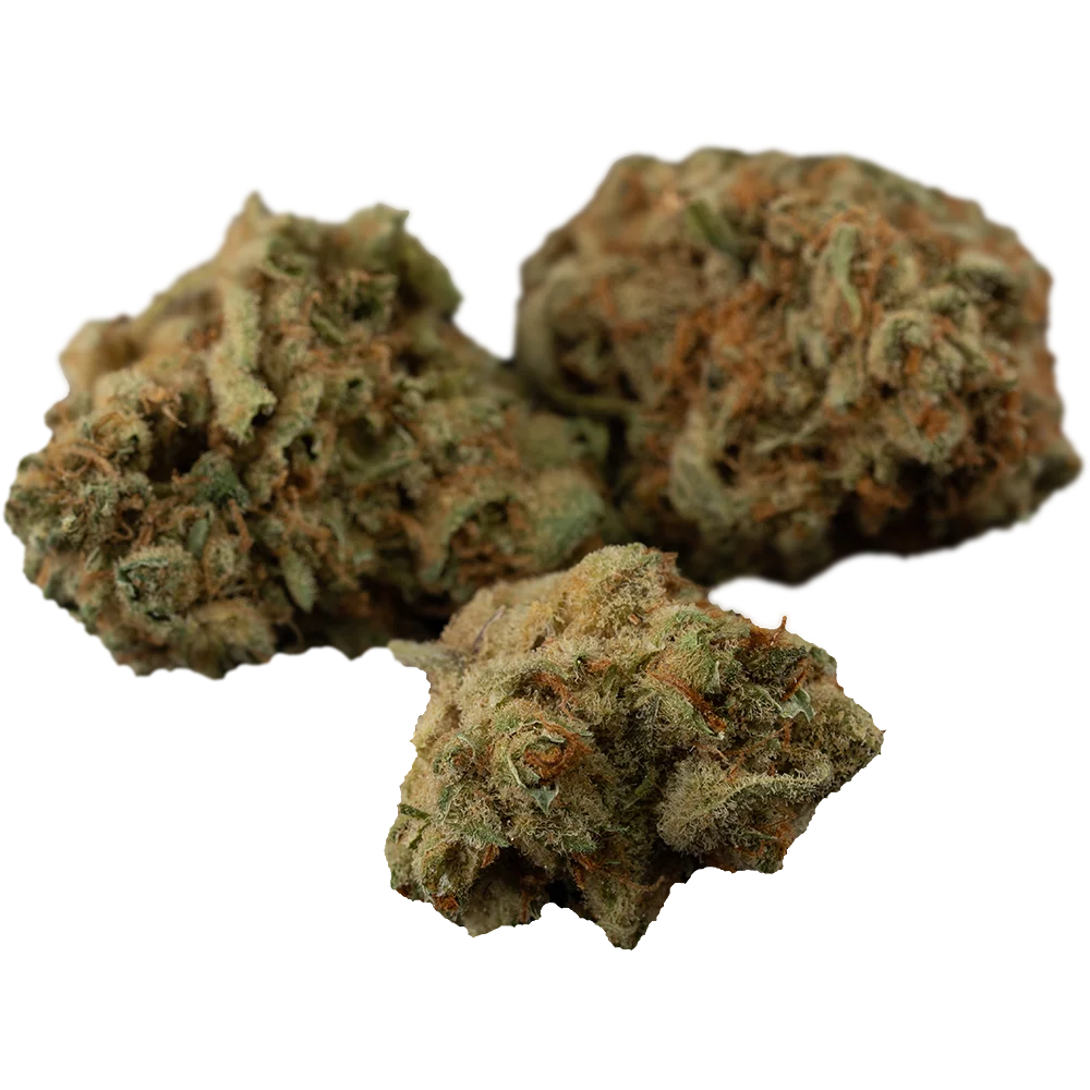 101-C Blüten Sativa LSAGE 22/1
