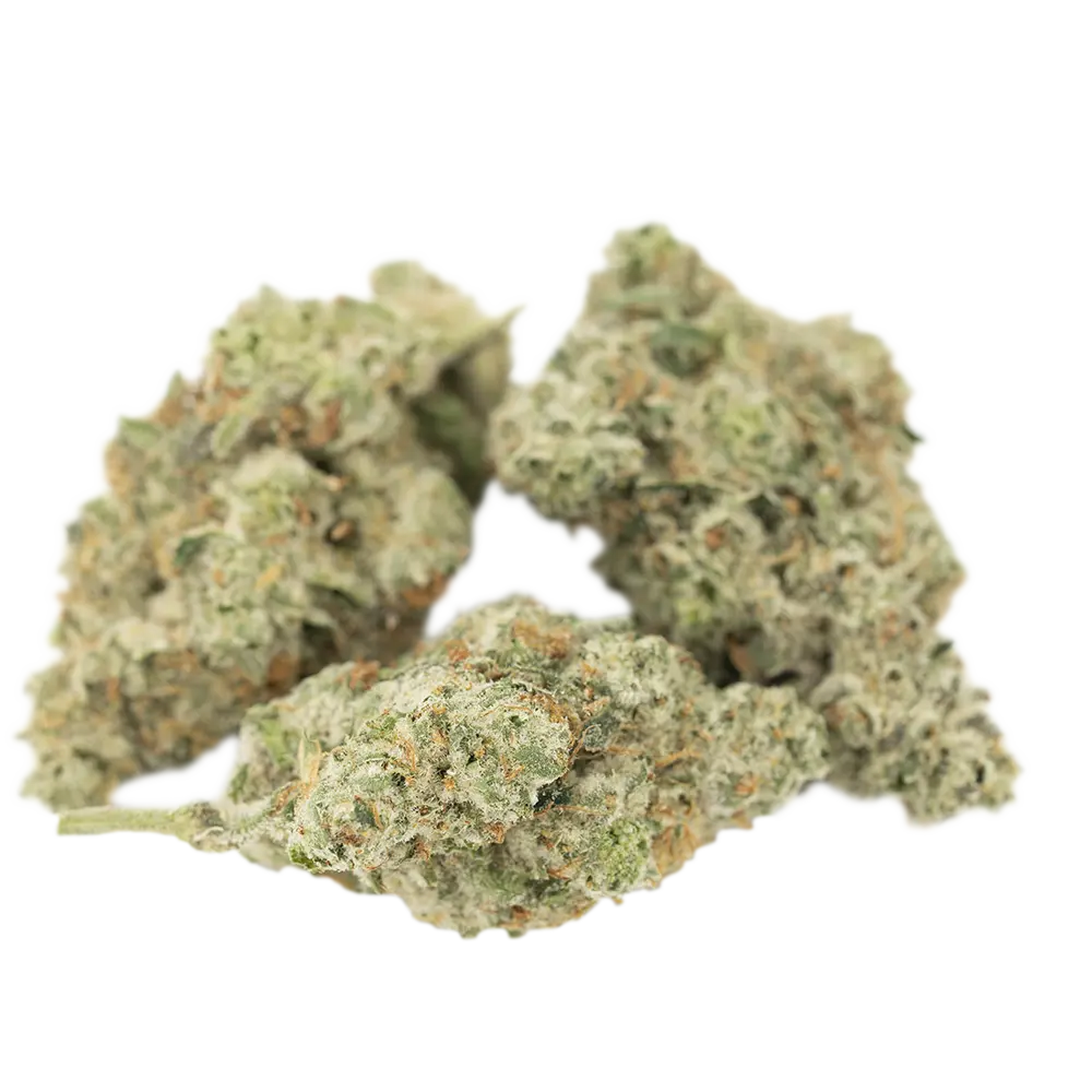 420 Evolution 30/1 CA ICC