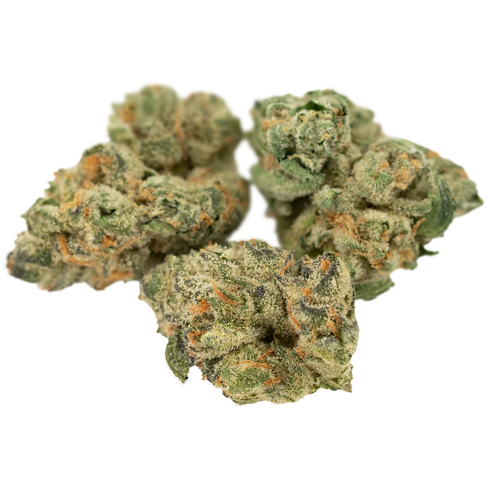 Cannamedical Indica Forte DK