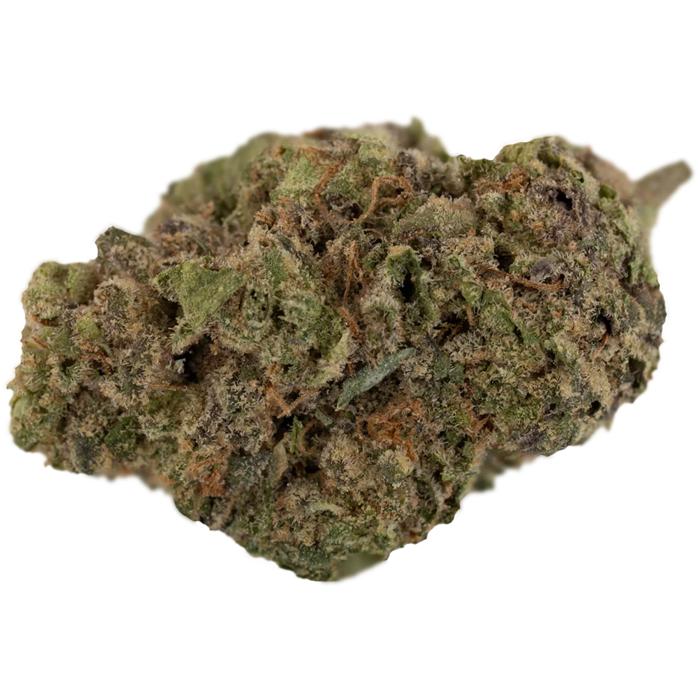 Canopy KMI 28