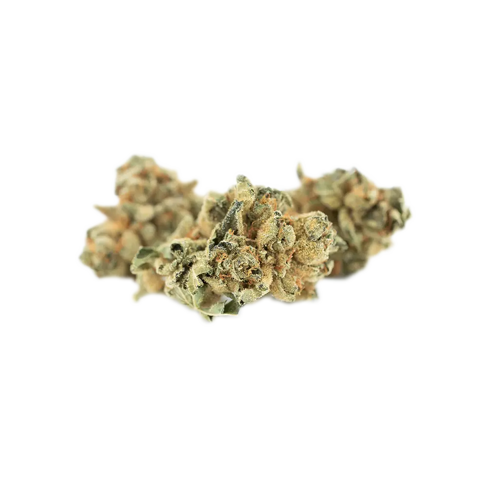 Good Supply THC25 BCR