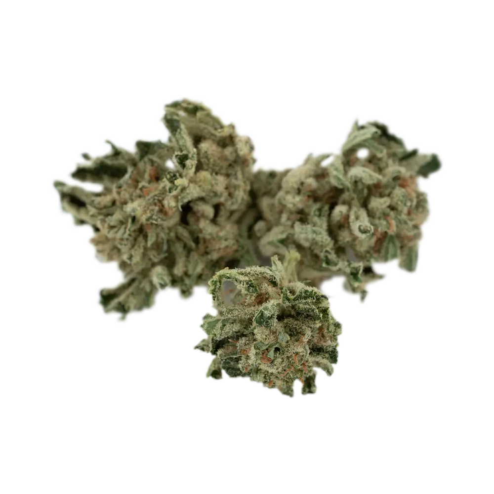 Tilray THC15 Spotlight Porto