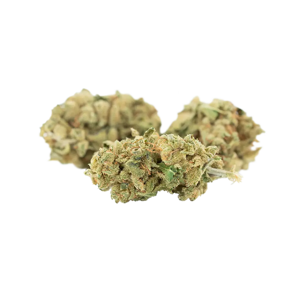 Tilray THC25 Spotlight Porto